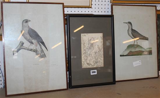 Pair coloured bird prints & Oriental pic